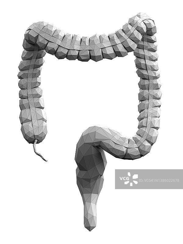 结肠抽象插图图片素材