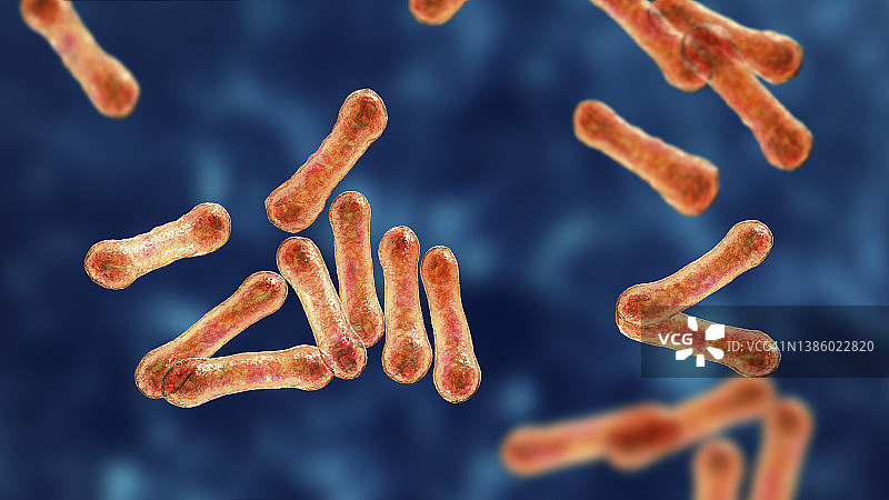 白喉棒状杆菌插图图片素材