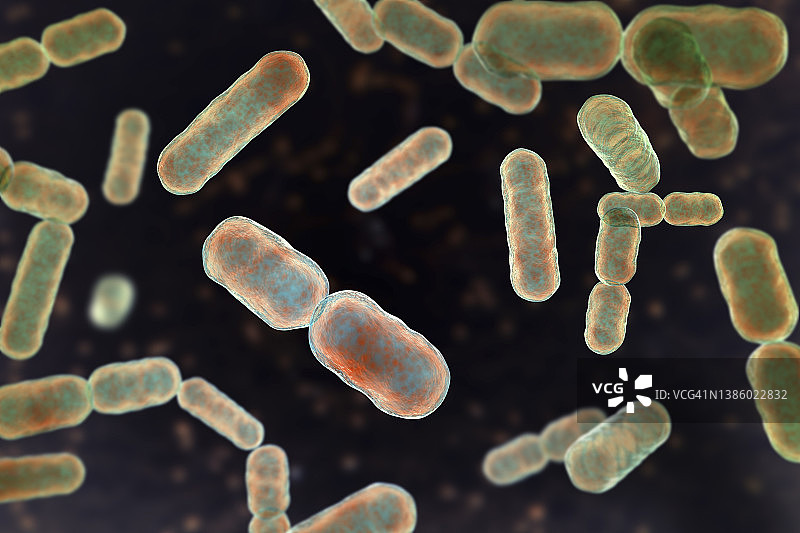 拟杆菌属细菌，图示图片素材