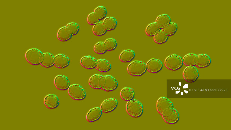 乳球菌图示图片素材