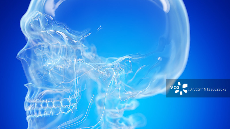 颞下颌关节示意图图片素材