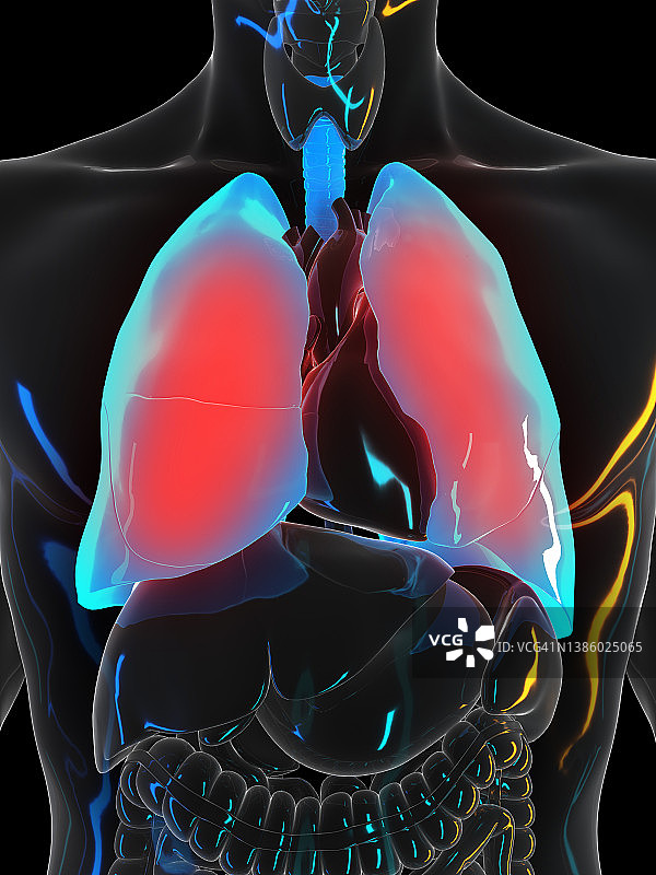 肺部疼痛插图图片素材