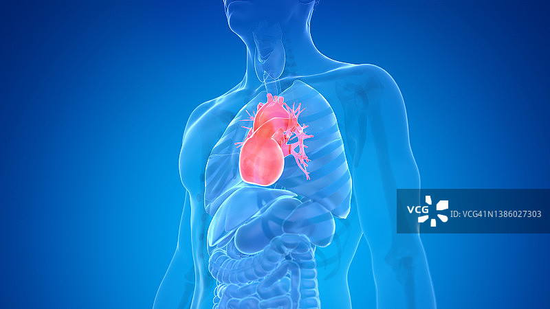 人类的心,说明图片素材