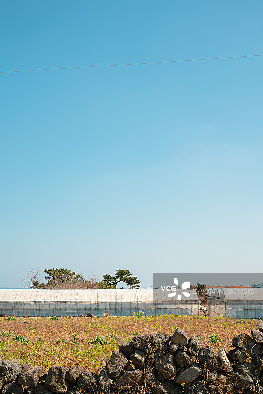 韩国济州岛朝天邑农场乡村图片素材