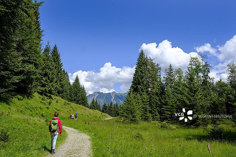 徒步者从德国阿尔卑斯山脉索莱雷克附近的霍赫莱特山间小屋下山图片素材