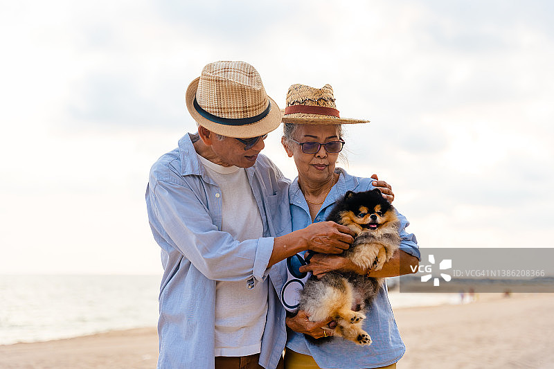 在海滩上可爱的老年夫妇图片素材