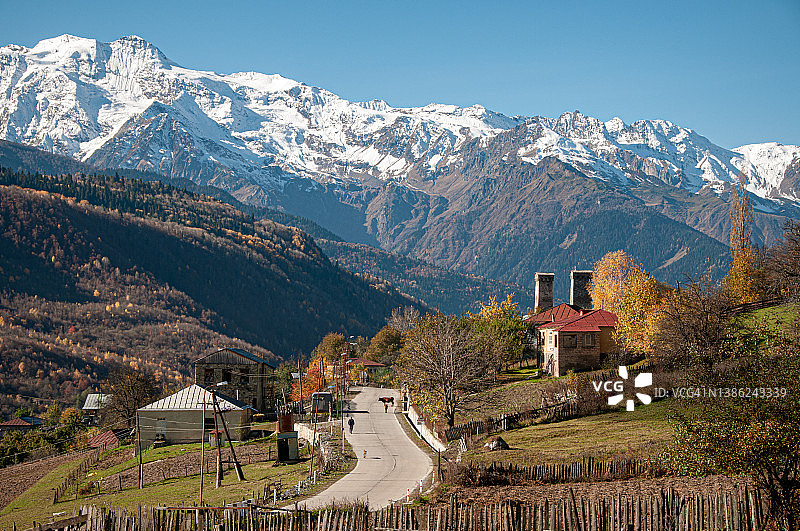 前往格鲁吉亚斯瓦涅季梅斯蒂亚的路上：男子、狗和牛图片素材