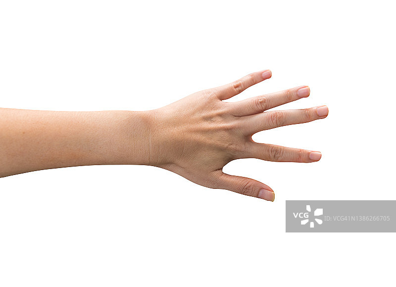 白色背景上的女人手部特写图片素材