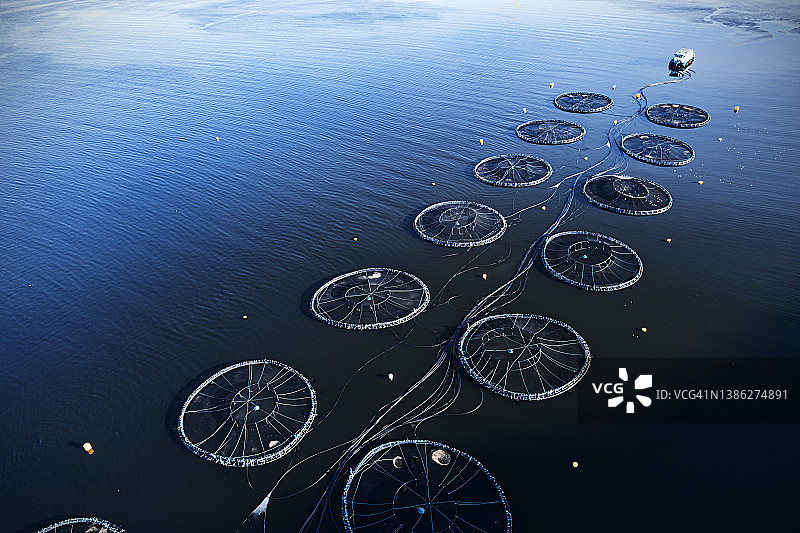 水产养殖网图片素材