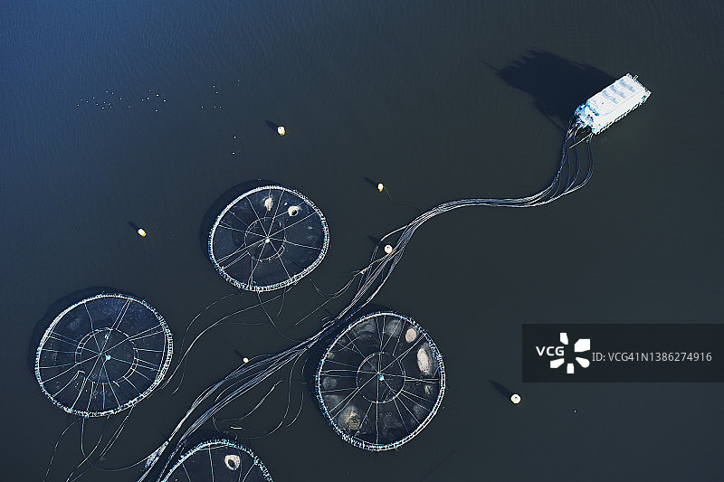 水产养殖网图片素材