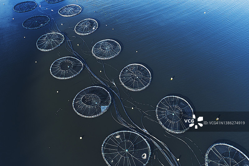 水产养殖网图片素材