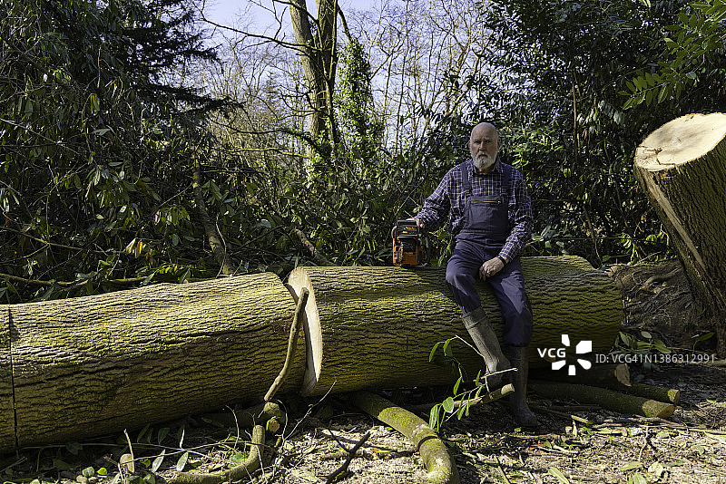 手持链锯的年长伐木工人图片素材