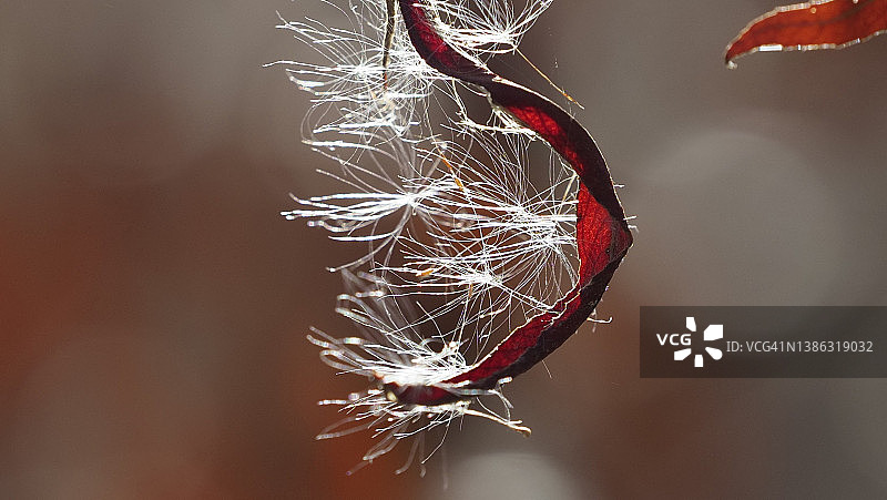 彼此融入图片素材