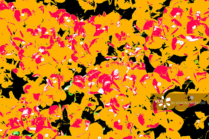 抽象花坛（橙红色）图片素材