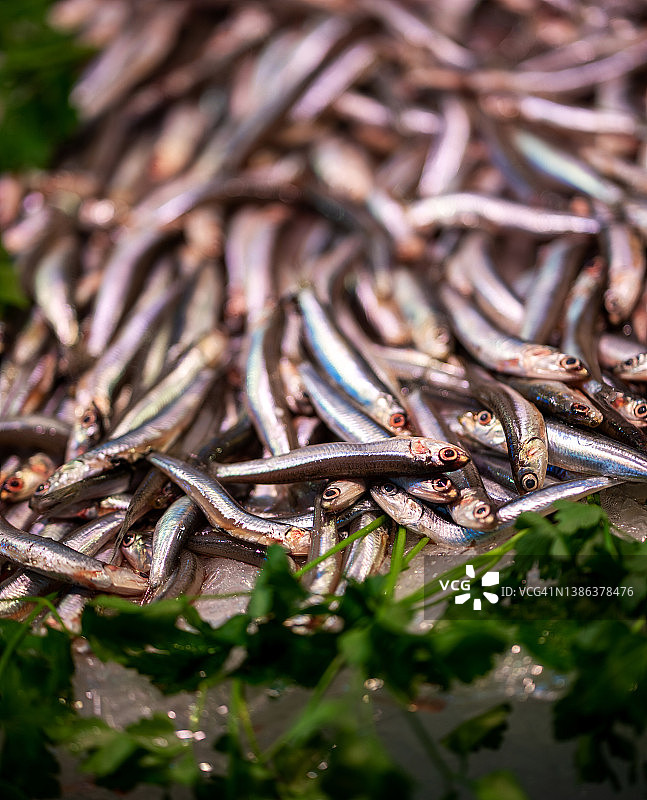 塞维利亚鱼市上出售的新鲜凤尾鱼图片素材