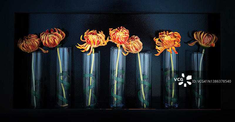 狭窄玻璃花瓶上的橙色花朵图片素材