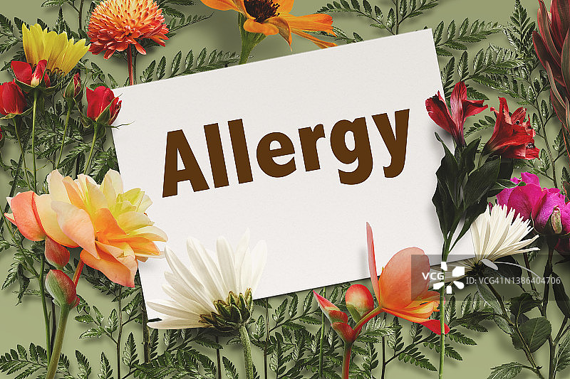 春季过敏概念：纸花装饰的纸质肺图片素材