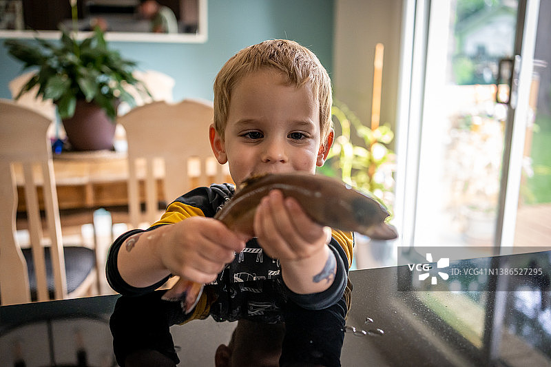 手拿鱼的男孩图片素材