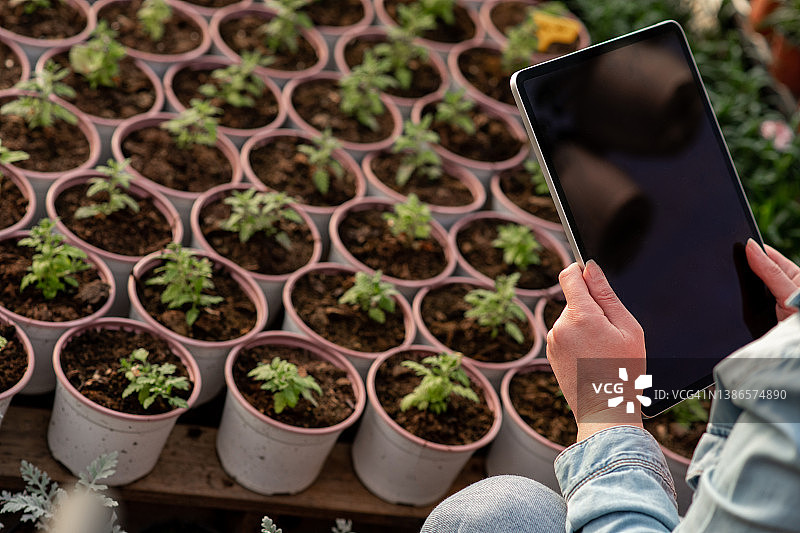 可持续温室中的现代科技图片素材