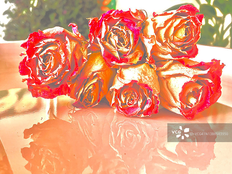 托盘上的鲜艳红粉玫瑰图片素材