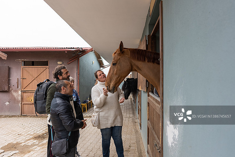 一群朋友来农场拜访他们的马并骑马图片素材