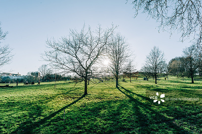 日落下的报春花山图片素材