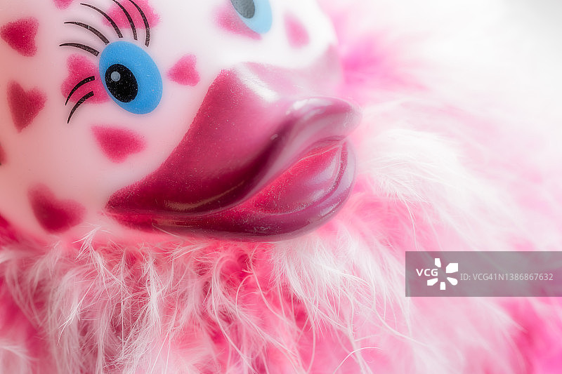 粉色鸭子图片素材