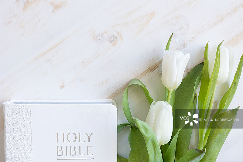 白色基督教圣经和郁金香图片素材