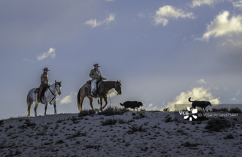 冬日清晨的牧马人和他们的狗图片素材