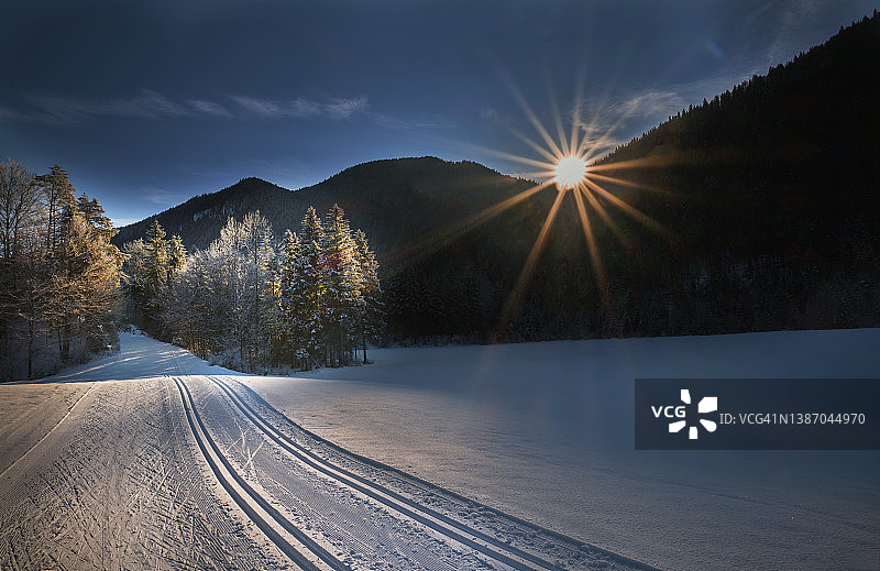 日出时冬季森林的田园风光图片素材