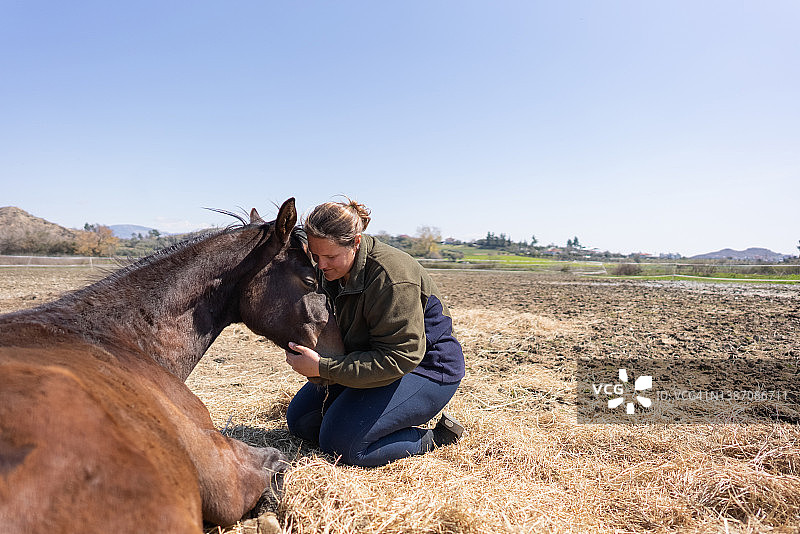 与小马驹共度宁静时光的女子图片素材