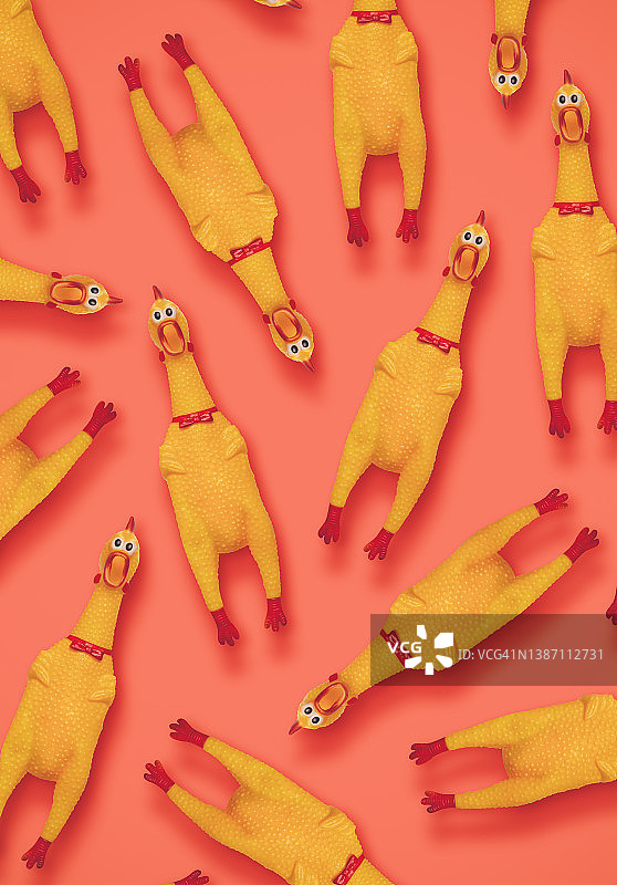 有趣的橡胶鸡图片素材