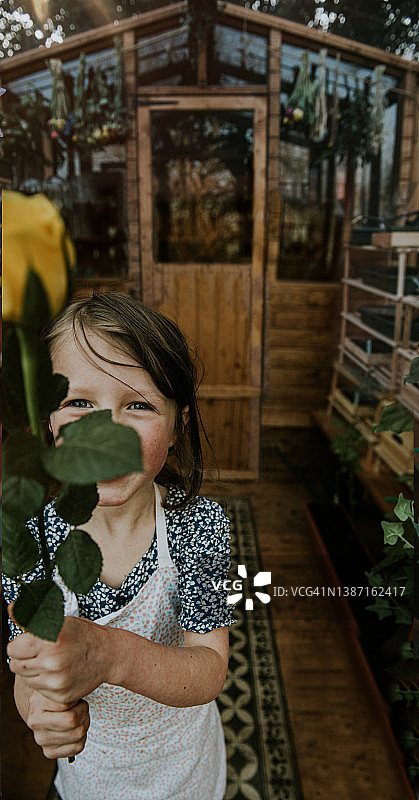 快乐的小女孩将黄玫瑰递给镜头后的收花人图片素材