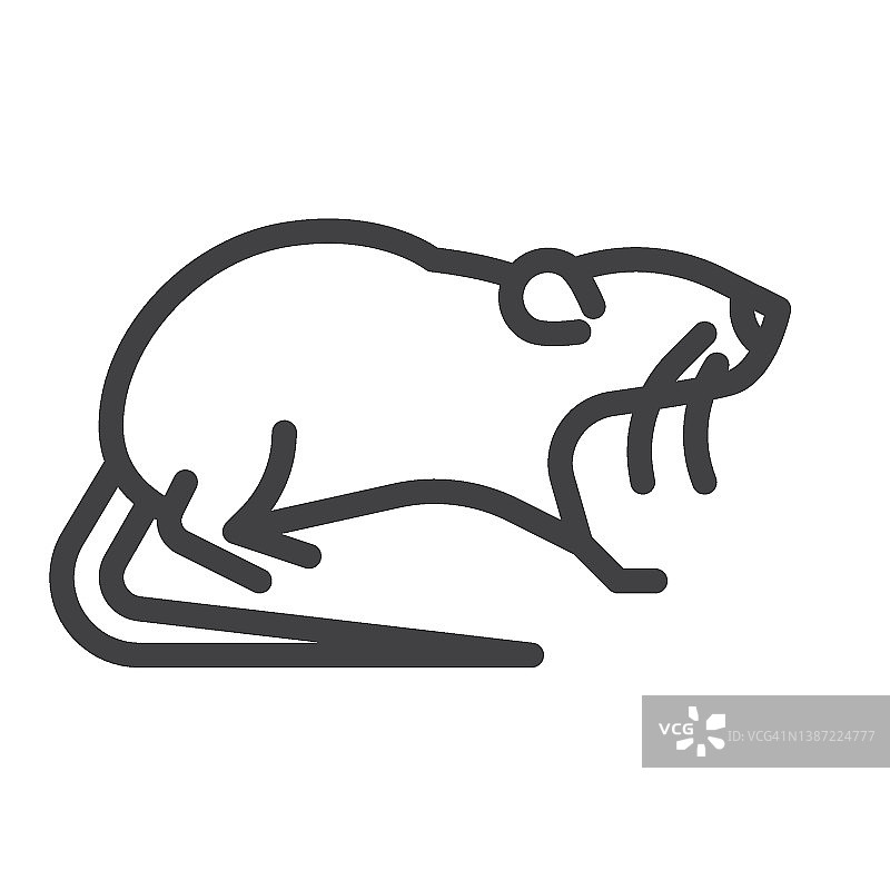 啮齿动物老鼠线条图标图片素材