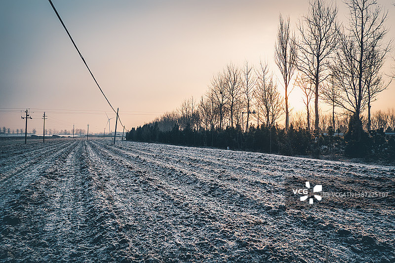 雪后的田野图片素材