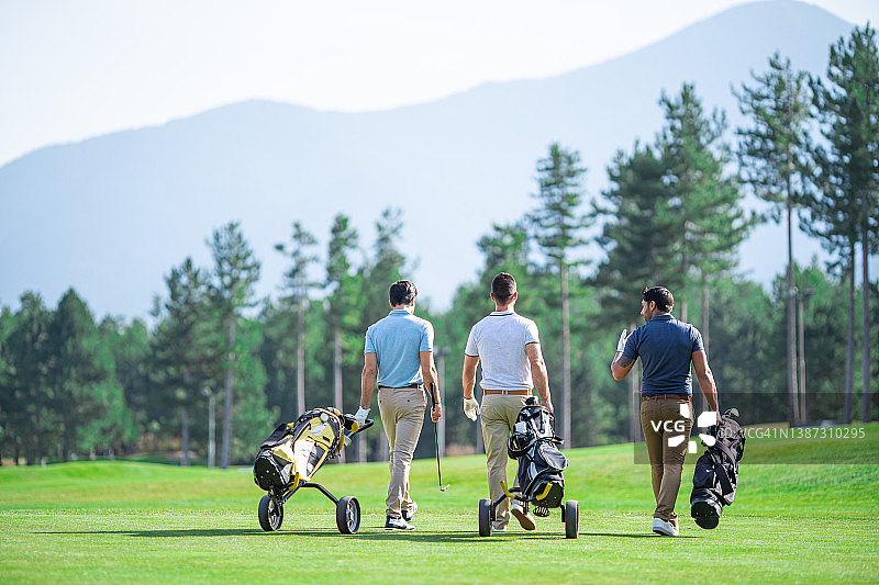 三位男性高尔夫球友在阳光明媚的日子里打高尔夫球的背面，带着高尔夫装备走在高尔夫球场上图片素材