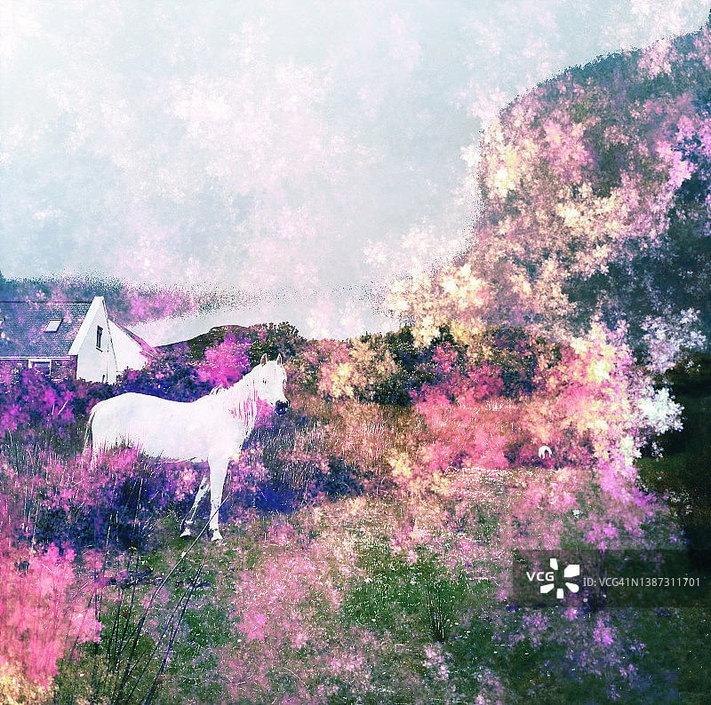 白马田野抽象图图片素材