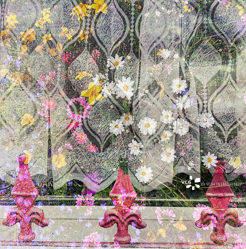 窗户和花卉多重曝光图像图片素材