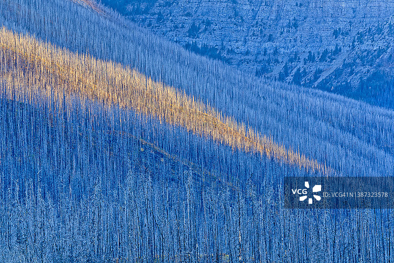 加拿大亚伯达省沃特顿国家公园图片素材