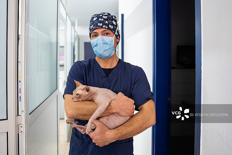 兽医抱着一只猫图片素材