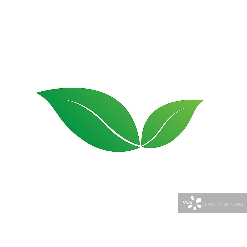 白色背景上的新鲜绿叶，天然叶子图标，logo，符号模板，美丽的绿色叶子矢量，用于元素设计和生物生态绿色图标图片素材