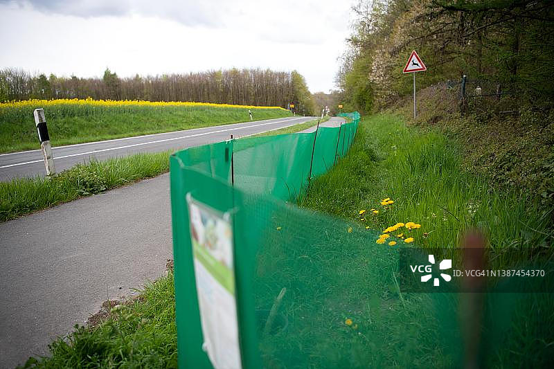 两栖动物保护围栏,在两栖动物迁徙期间,用于保护动物免受车辆碾压,德国北莱茵-威斯特法伦州费尔贝特图片素材