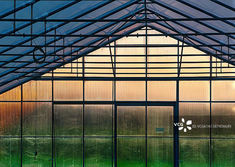 瑞士沃尔夫豪森，被傍晚的阳光染色的温室图片素材