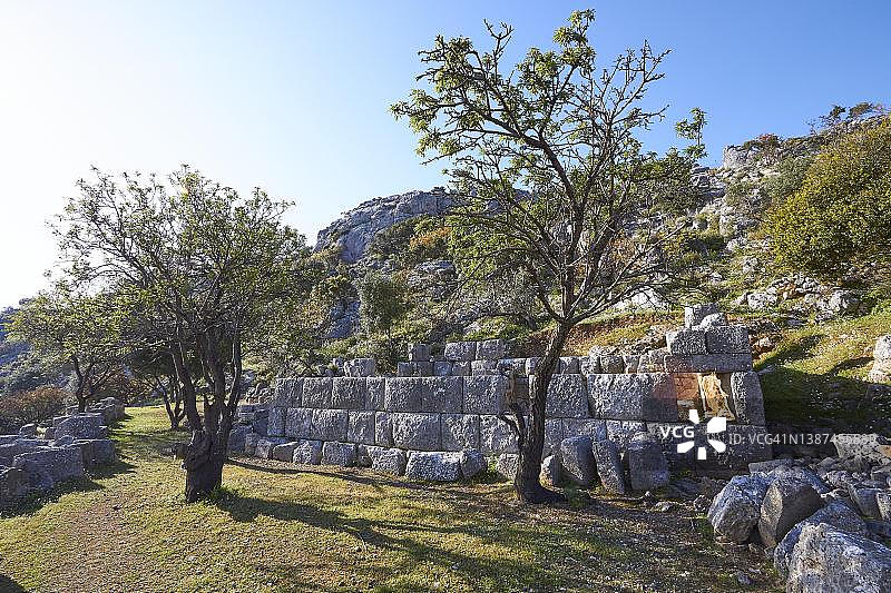 希腊克里特岛拉西锡高原的春天图片素材