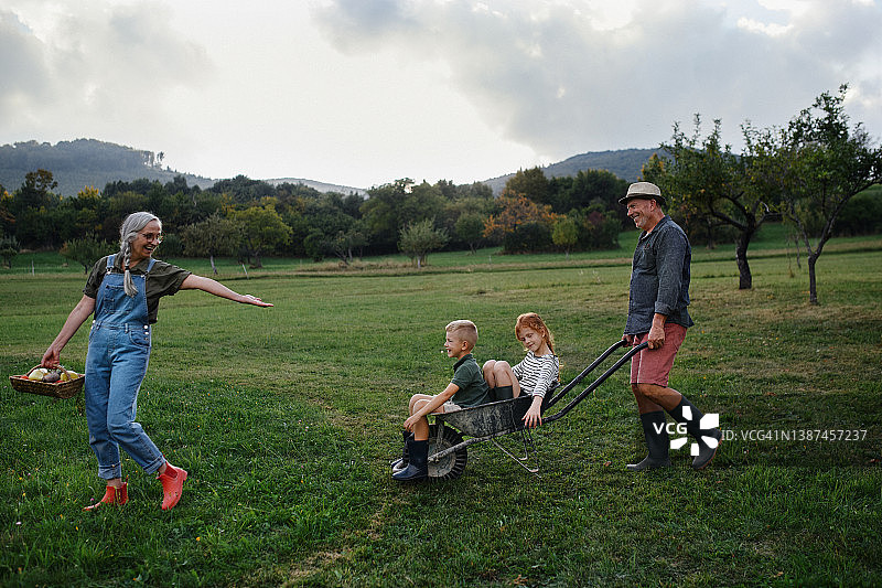 快乐的小孩子们在爷爷奶奶家的村庄里度假图片素材