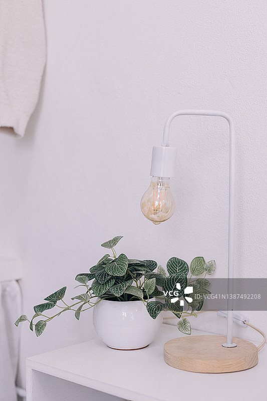 室内边桌上的植物图片素材