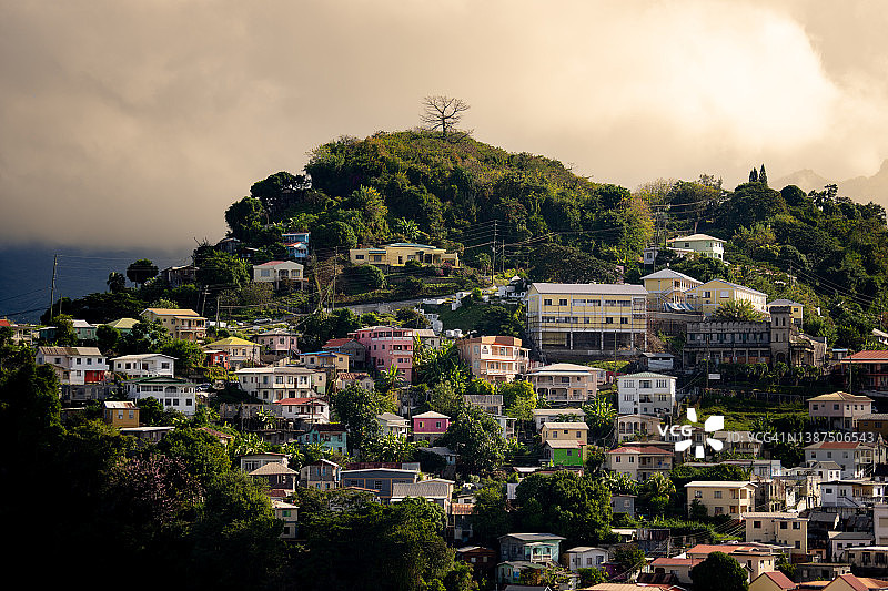 加勒比海格林纳达圣乔治丘陵海岸线的彩色建筑图片素材