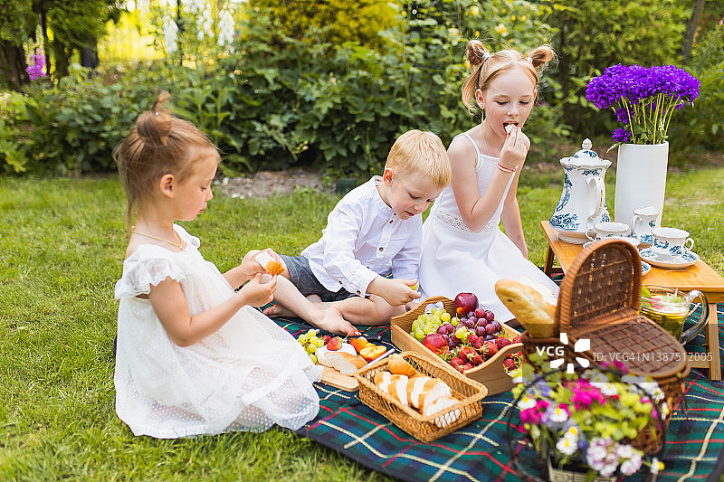在毯子上享受大自然夏季野餐。户外休闲。全家坐在一起吃饭。篮子里的浆果和水果。两个女孩和一个男孩在享受食物。休闲活动。假期图片素材