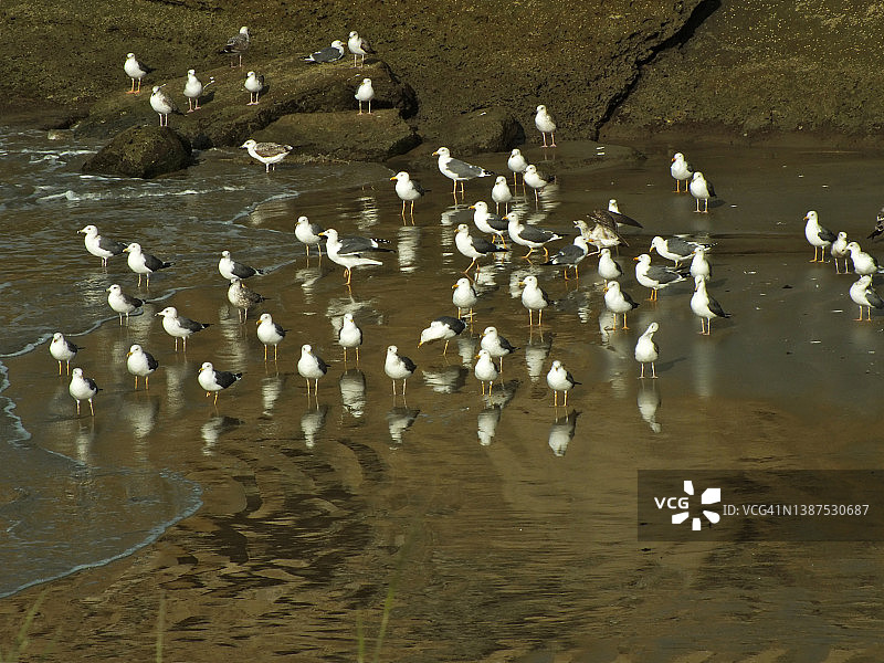 海浪拍打沙滩图片素材