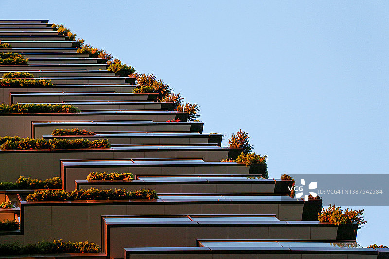 高层建筑阳台上的绿色植物图片素材